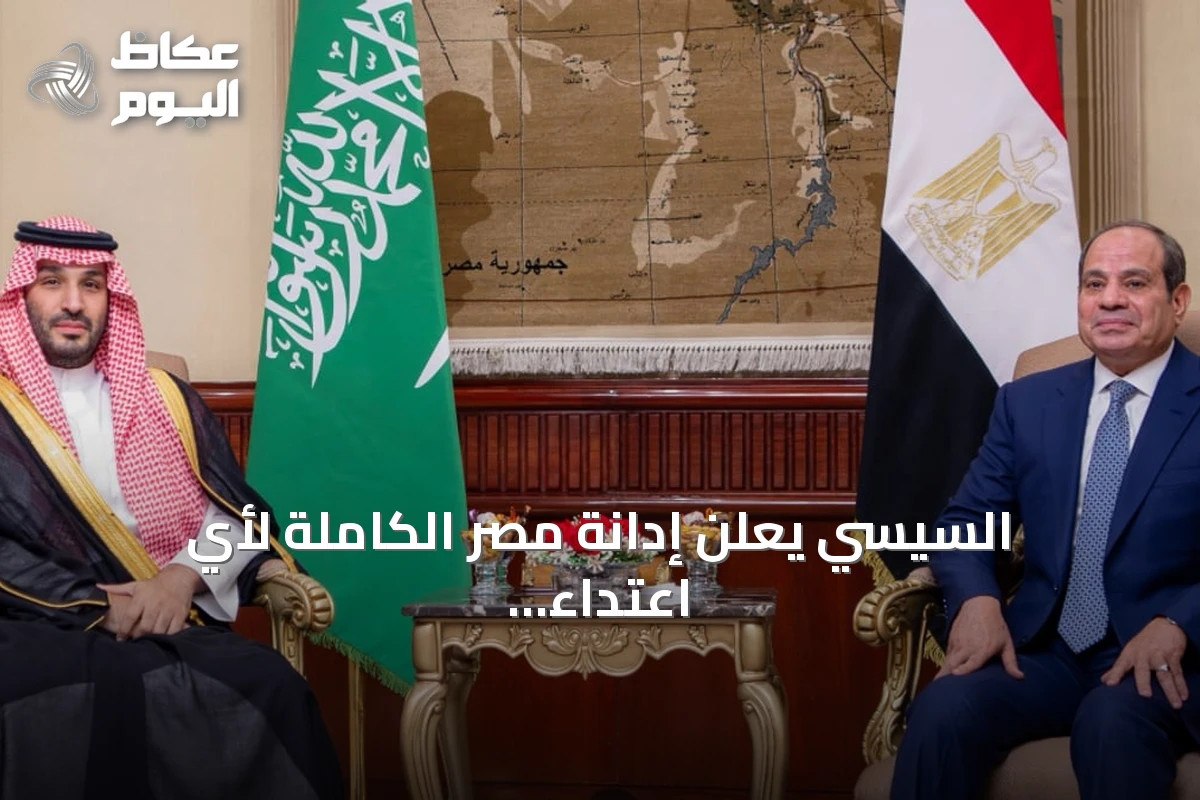 السيسي يعلن إدانة مصر الكاملة لأي اعتداء على السعودية خلال لقاء مع ولي العهد