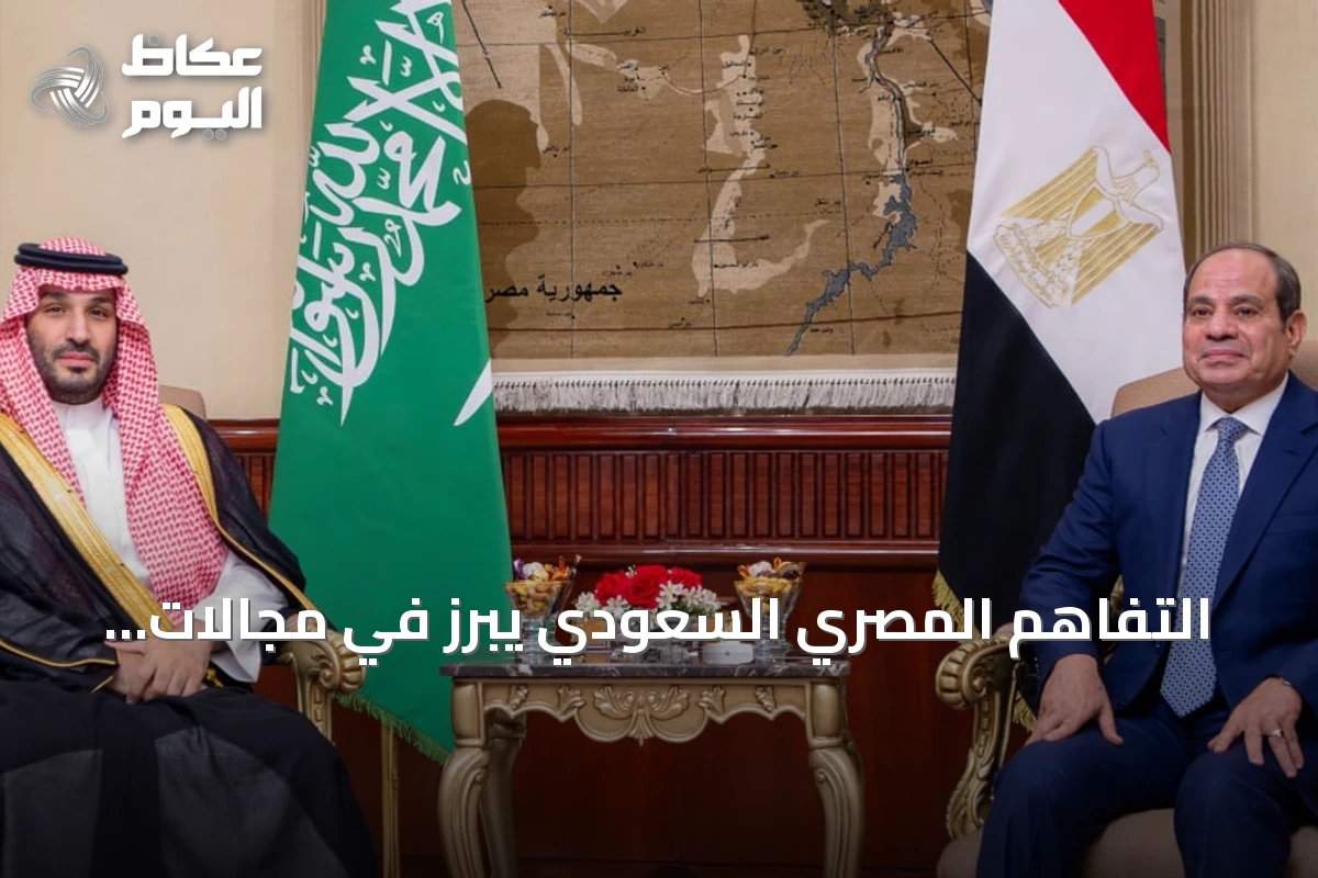 التفاهم المصري السعودي يبرز في مجالات الأمن والقضية الفلسطينية وزيارة ولي العهد