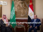 التجارة السعودية المصرية تتجاوز 82 مليار دولار خلال خمس سنوات