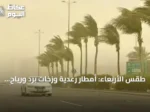 طقس الأربعاء: أمطار رعدية وزخات برد ورياح نشطة على عدة مناطق سعودية
