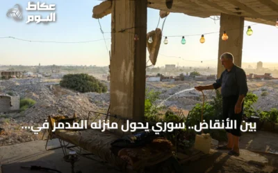 بين الأنقاض.. سوري يحوّل منزله المدمر في جوبر إلى حديقة تروي حكاية الفقد والأمل
