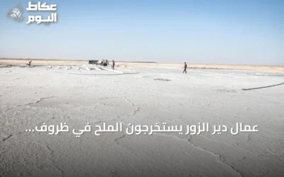 عمال دير الزور يستخرجون الملح في ظروف صعبة لتأمين رزقهم