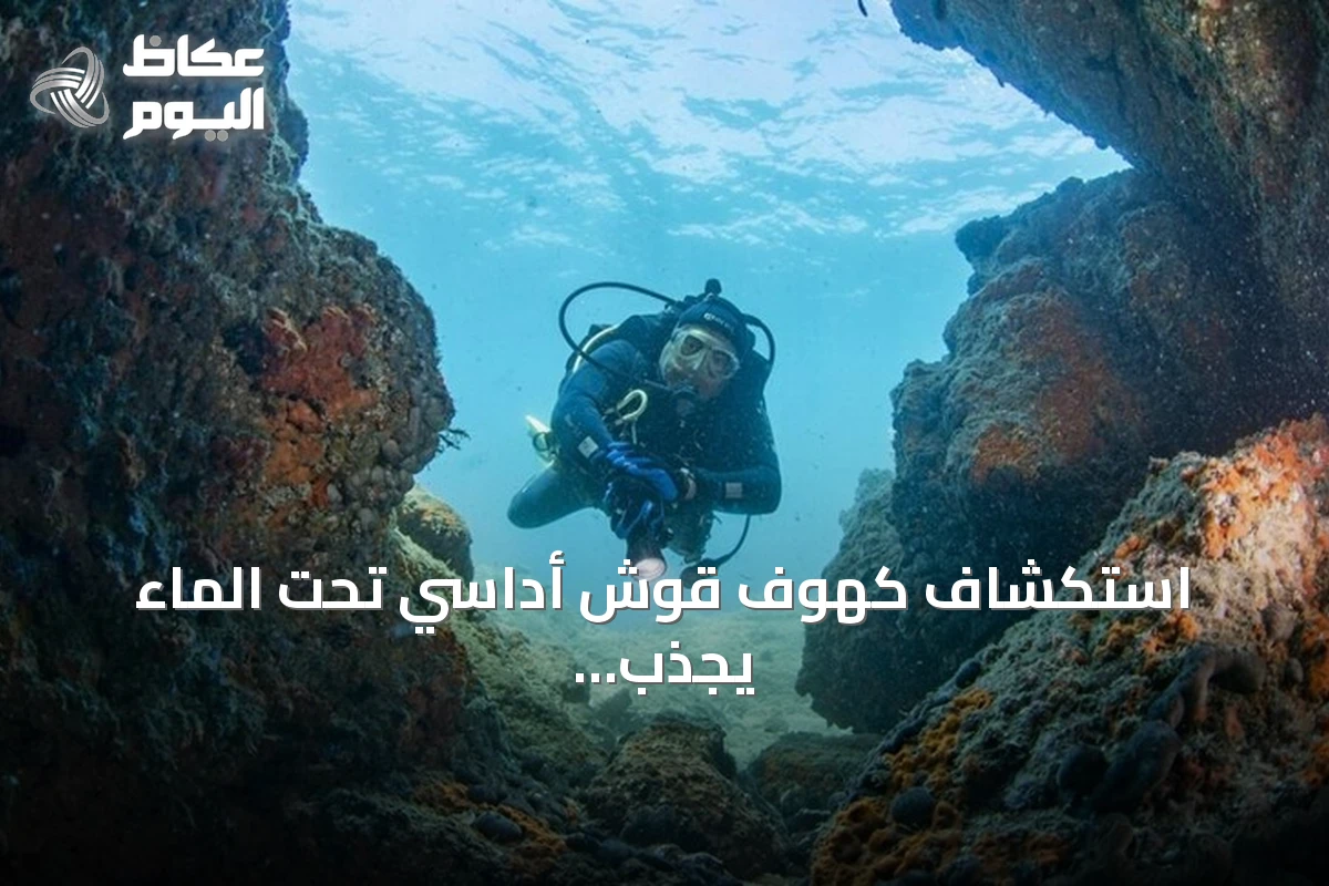 استكشاف كهوف قوش أداسي تحت الماء يجذب عشاق الغوص إلى تركيا