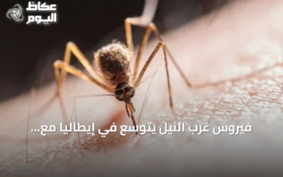 فيروس غرب النيل يتوسع في إيطاليا مع ارتفاع درجات الحرارة