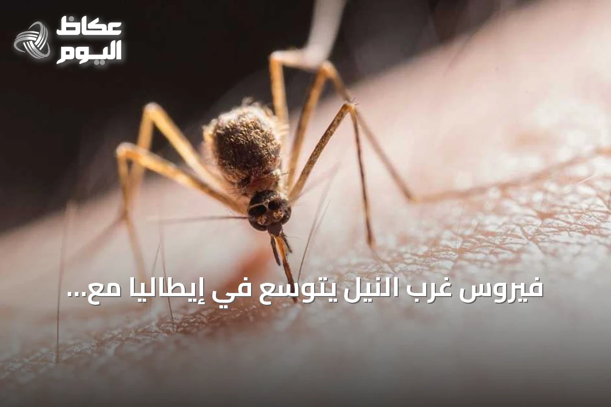 فيروس غرب النيل يتوسع في إيطاليا مع ارتفاع درجات الحرارة