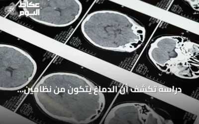 دراسة تكشف أن الدماغ يتكون من نظامين عصبيين منفصلين منذ المراحل المبكرة للجنين