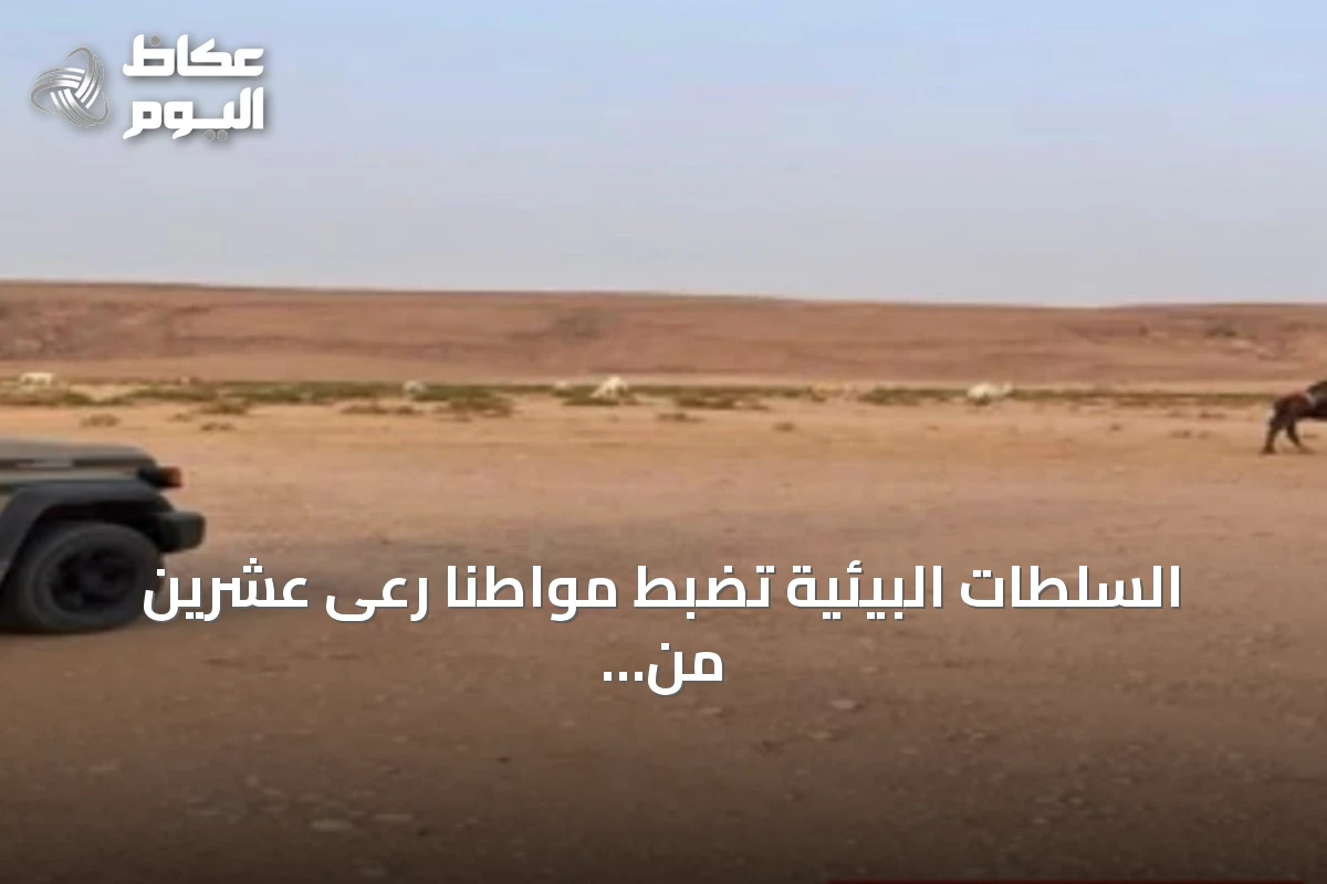 السلطات البيئية تضبط مواطنًا رعى عشرين من الإبل بمنطقة محمية الملك عبدالعزيز