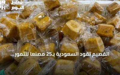 القصيم تقود السعودية بـ25 مصنعًا للتمور وإنتاج يتجاوز نصف مليون طن