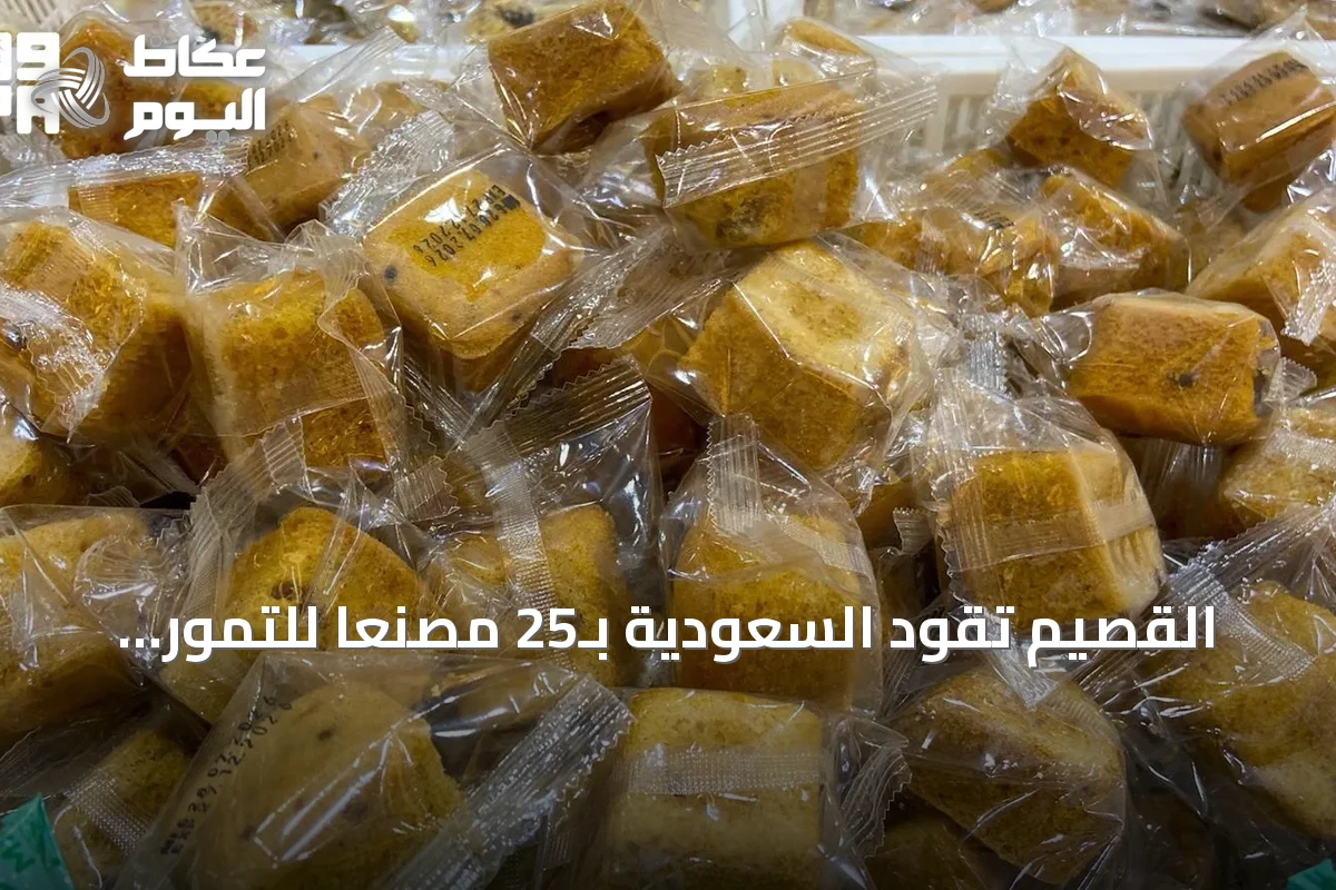 القصيم تقود السعودية بـ25 مصنعًا للتمور وإنتاج يتجاوز نصف مليون طن