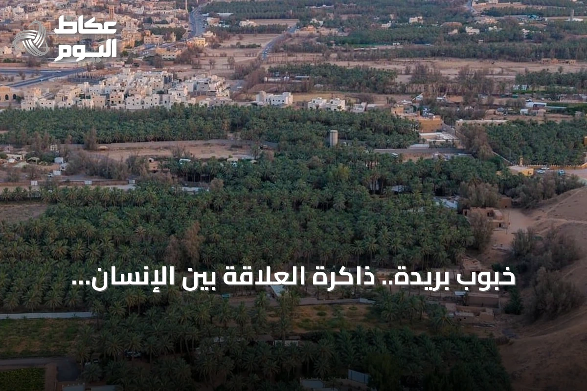 خبوب بريدة.. ذاكرة العلاقة بين الإنسان والأرض في منطقة القصيم