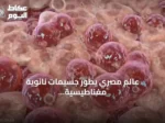 عالم مصري يطور جسيمات نانوية مغناطيسية لتدمير الأورام الصلبة