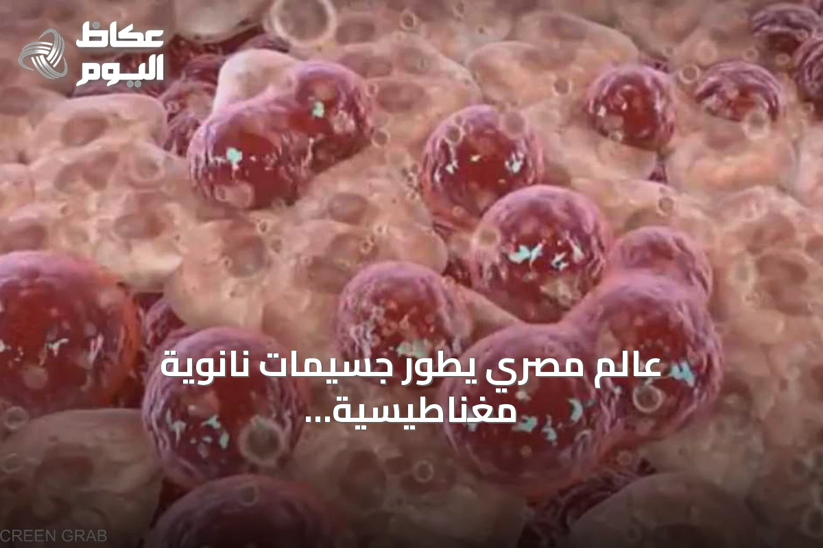 عالم مصري يطور جسيمات نانوية مغناطيسية لتدمير الأورام الصلبة