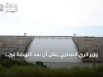 وزير الري المصري يعلن أن سد النهضة غير شرعي ويحتفظ بحق اتخاذ الإجراءات اللازمة
