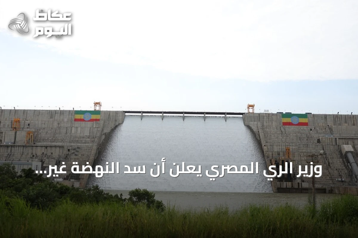 وزير الري المصري يعلن أن سد النهضة غير شرعي ويحتفظ بحق اتخاذ الإجراءات اللازمة