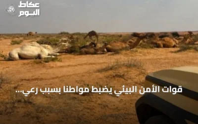 قوات الأمن البيئي يضبط مواطنًا بسبب رعي 30 متنًا من الإبل في محمية تحمل اسم الإمام عبدالعزيز بن محمد، وهي محمية ملكية