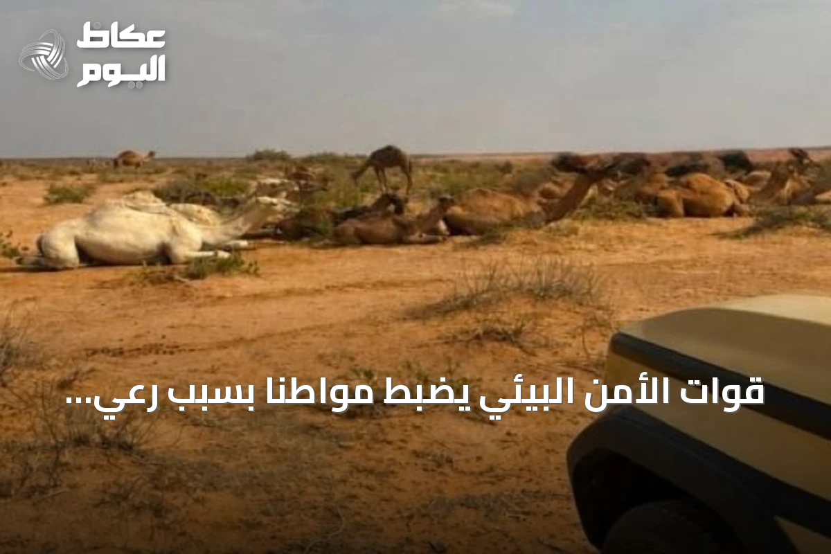قوات الأمن البيئي يضبط مواطنًا بسبب رعي 30 متنًا من الإبل في محمية تحمل اسم الإمام عبدالعزيز بن محمد، وهي محمية ملكية