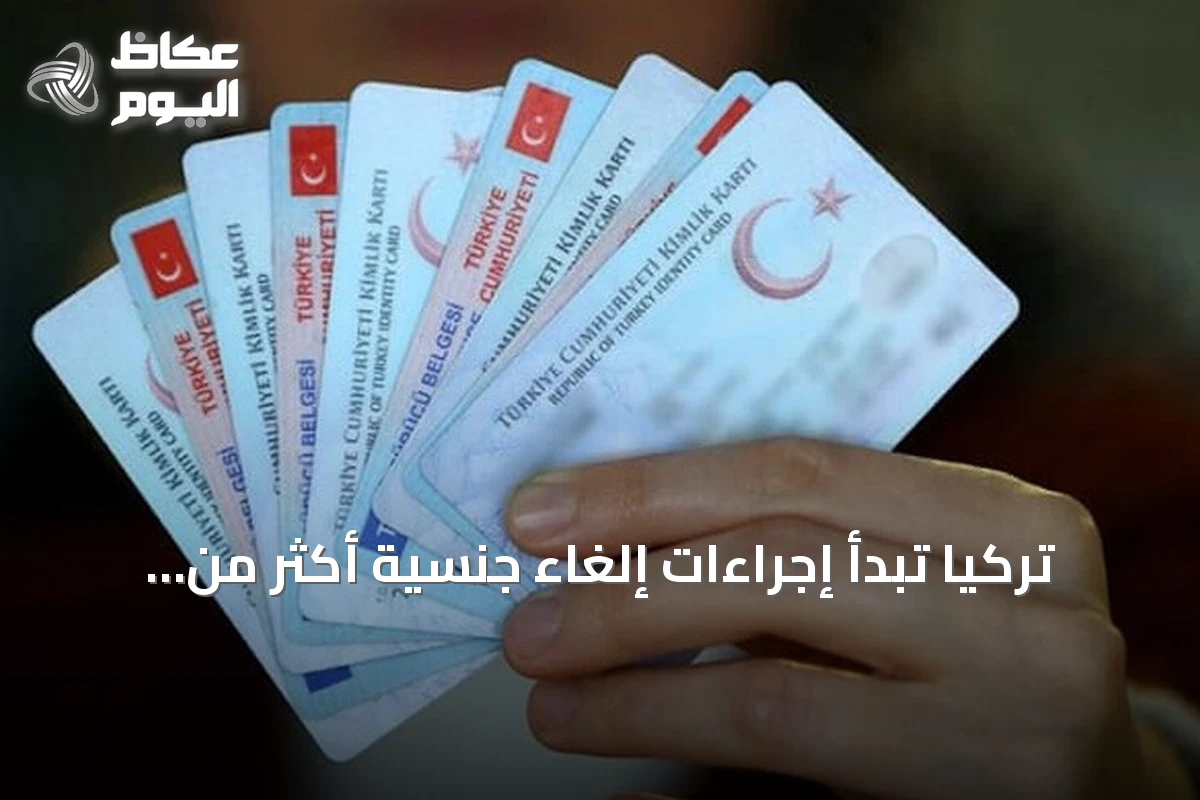 تركيا تبدأ إجراءات إلغاء جنسية أكثر من ألف شخص بعد كشف معاملات عقارية غير قانونية
