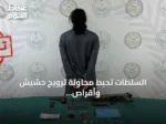 السلطات تحبط محاولة ترويج حشيش وأقراص طبية في منطقة حائل