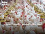 البيئة تطلق 6 مشاريع دواجن بـ35 مليون طائر و20 فرصة استثمارية لتعزيز اقتصاد مكة