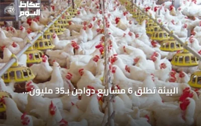 البيئة تطلق 6 مشاريع دواجن بـ35 مليون طائر و20 فرصة استثمارية لتعزيز اقتصاد مكة