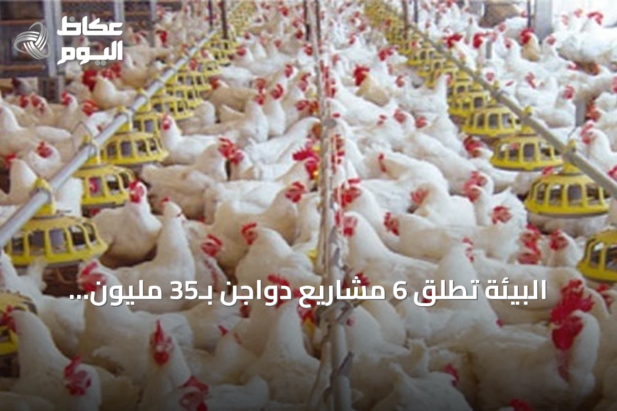 البيئة تطلق 6 مشاريع دواجن بـ35 مليون طائر و20 فرصة استثمارية لتعزيز اقتصاد مكة