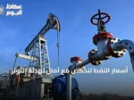أسعار النفط تنخفض مع آمال تهدئة التوتر الأمريكي الإيراني وتكشف تقارير عن تراجع شحنات الشرق الأوسط