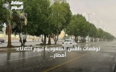 توقعات طقس السعودية ليوم الثلاثاء: أمطار غزيرة وزخات برد ورياح مثيرة للغبار