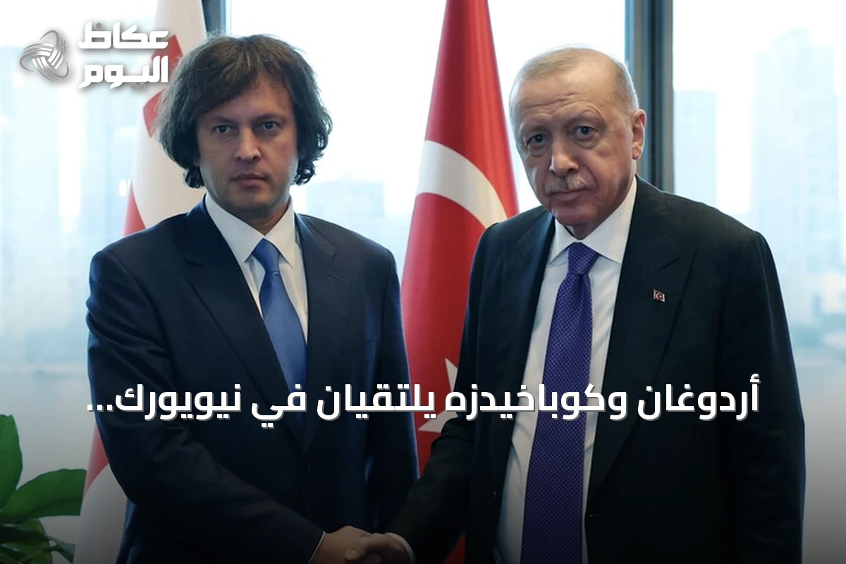 أردوغان وكوباخيدزه يلتقيان في نيويورك لتعزيز العلاقات الثنائية