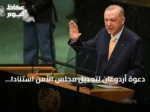 دعوة أردوغان لتعديل مجلس الأمن استنادًا إلى مبدأ أن العالم يتجاوز الخمس