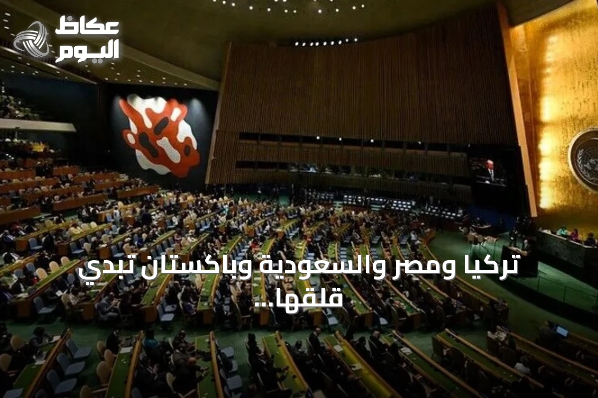 تركيا ومصر والسعودية وباكستان تبدي قلقها من استمرار التوترات وتدعو للالتزام بالتفاهم الأميركي الإيراني