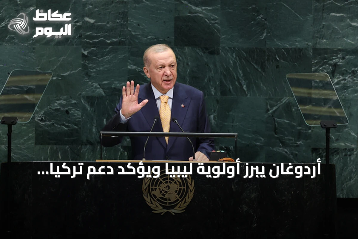 أردوغان يبرز أولوية ليبيا ويؤكد دعم تركيا للسلام في السودان والصومال