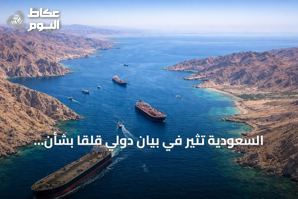السعودية تثير في بيان دولي قلقاً بشأن أوضاع البحارة ومخاطر حقوقهم بمضيق هرمز