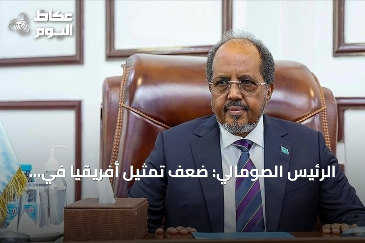 الرئيس الصومالي: ضعف تمثيل أفريقيا في مجلس الأمن ظلم تاريخي لا يحتمل التأجيل