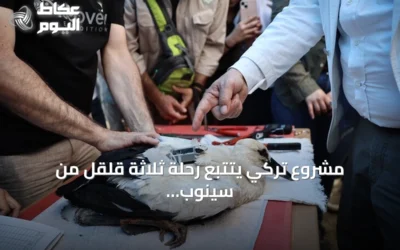 مشروع تركي يتتبع رحلة ثلاثة قلقل من سينوب إلى سوريا ومصر
