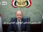 نائب رئيس المجلس الرئاسي اليمني يدعو المجتمع الدولي لحماية باب المندب وتعزيز الحكومة