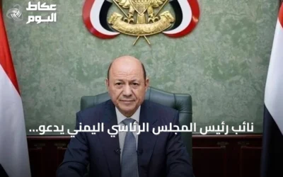 نائب رئيس المجلس الرئاسي اليمني يدعو المجتمع الدولي لحماية باب المندب وتعزيز الحكومة