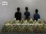 ضبط 72 كيلوجراماً من القات في جازان والقبض على 3 مخالفين يمنيين