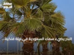 البدر يضيء سماء السعودية في ليلة فلكية مميزة