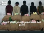 ضبط خمسة مهربي قات في قطاع الربوعة بعسير