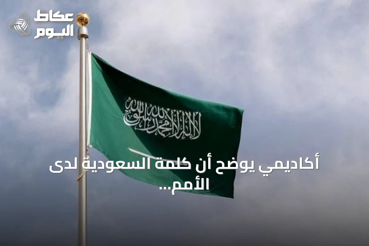 أكاديمي يوضح أن كلمة السعودية لدى الأمم المتحدة تكشف خارطة طريق سياستها