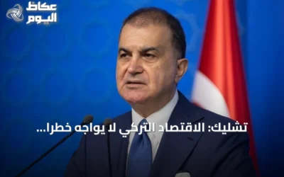 تشليك: الاقتصاد التركي لا يواجه خطراً منهجياً