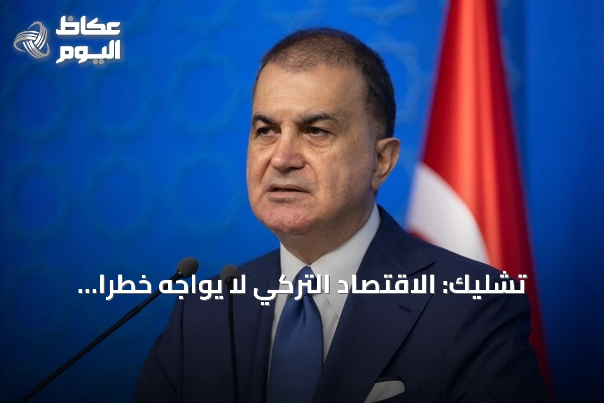 تشليك: الاقتصاد التركي لا يواجه خطراً منهجياً