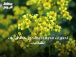 تحذيرات صحية جديدة حول مخاطر نبات الشذاب في السعودية