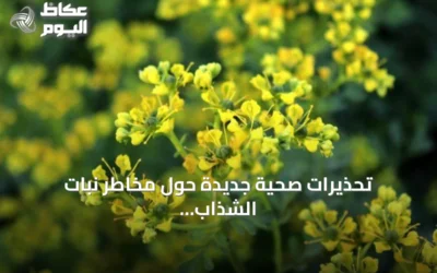 تحذيرات صحية جديدة حول مخاطر نبات الشذاب في السعودية