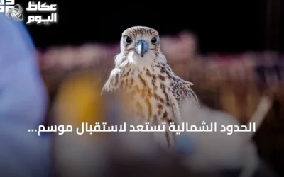 الحدود الشمالية تستعد لاستقبال موسم المقناص وجلب القناصة من السعودية ودول الخليج