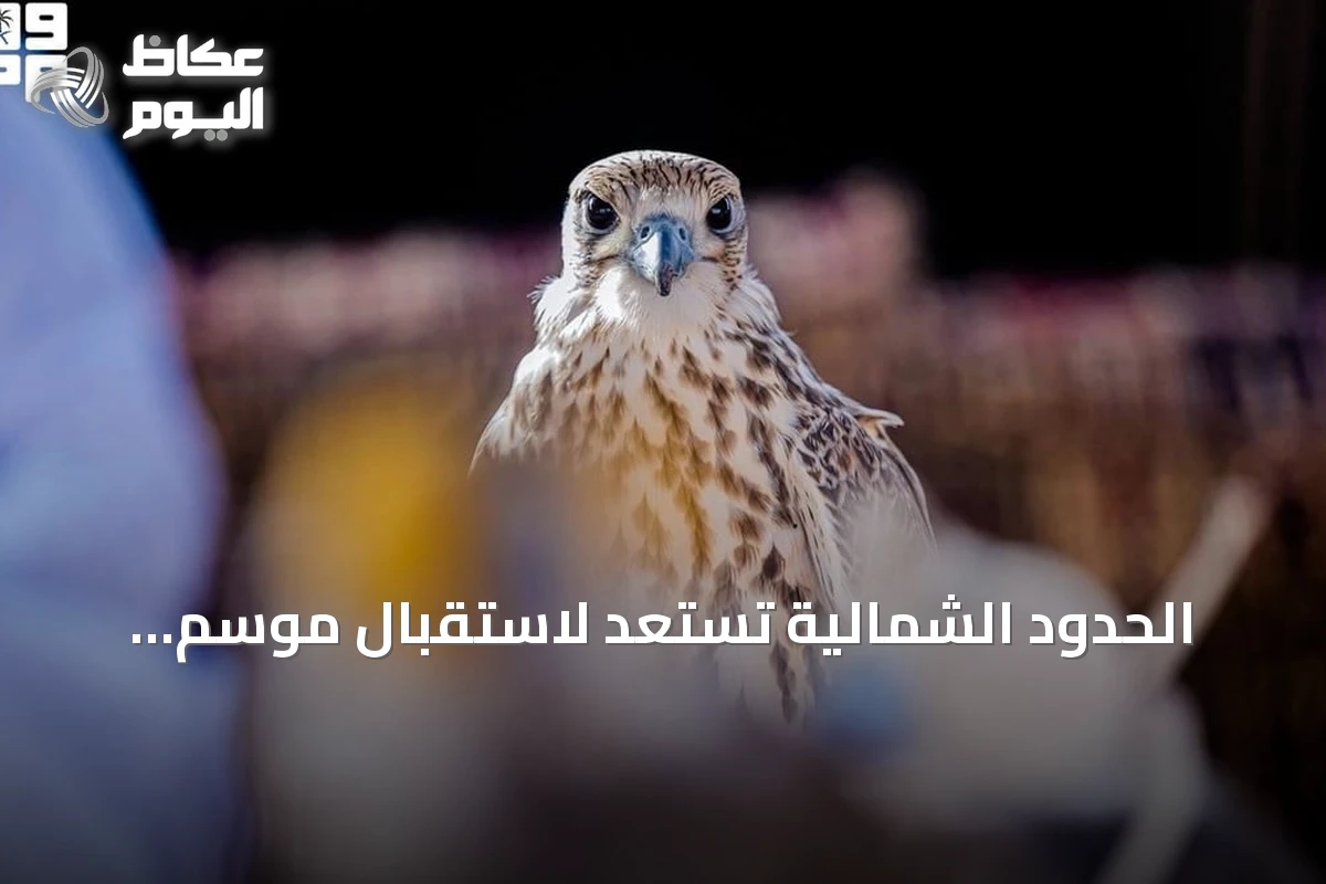 الحدود الشمالية تستعد لاستقبال موسم المقناص وجلب القناصة من السعودية ودول الخليج