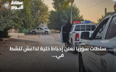 سلطات سوريا تعلن إحباط خلية لداعش تنشط في أربع محافظات
