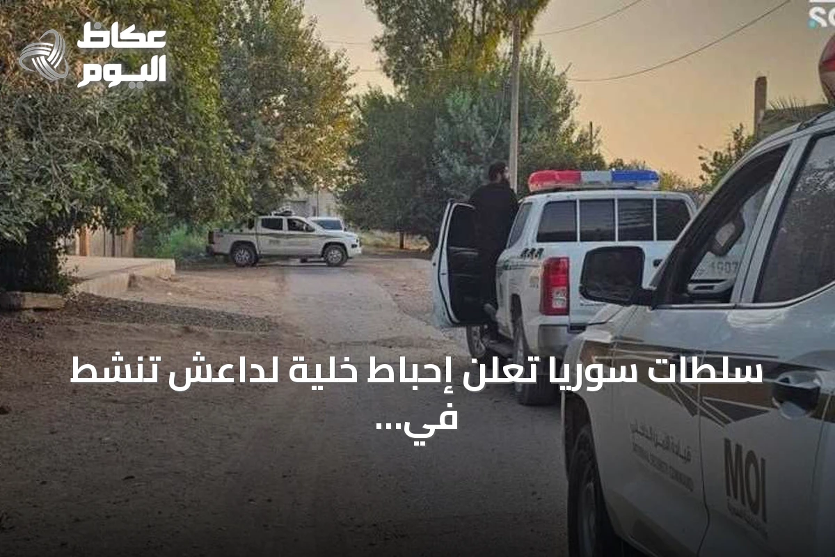 سلطات سوريا تعلن إحباط خلية لداعش تنشط في أربع محافظات