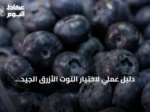 دليل عملي لاختيار التوت الأزرق الجيد وتجنب علامات الفساد