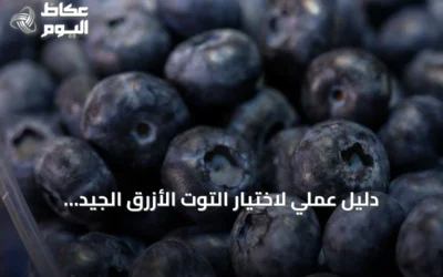 دليل عملي لاختيار التوت الأزرق الجيد وتجنب علامات الفساد